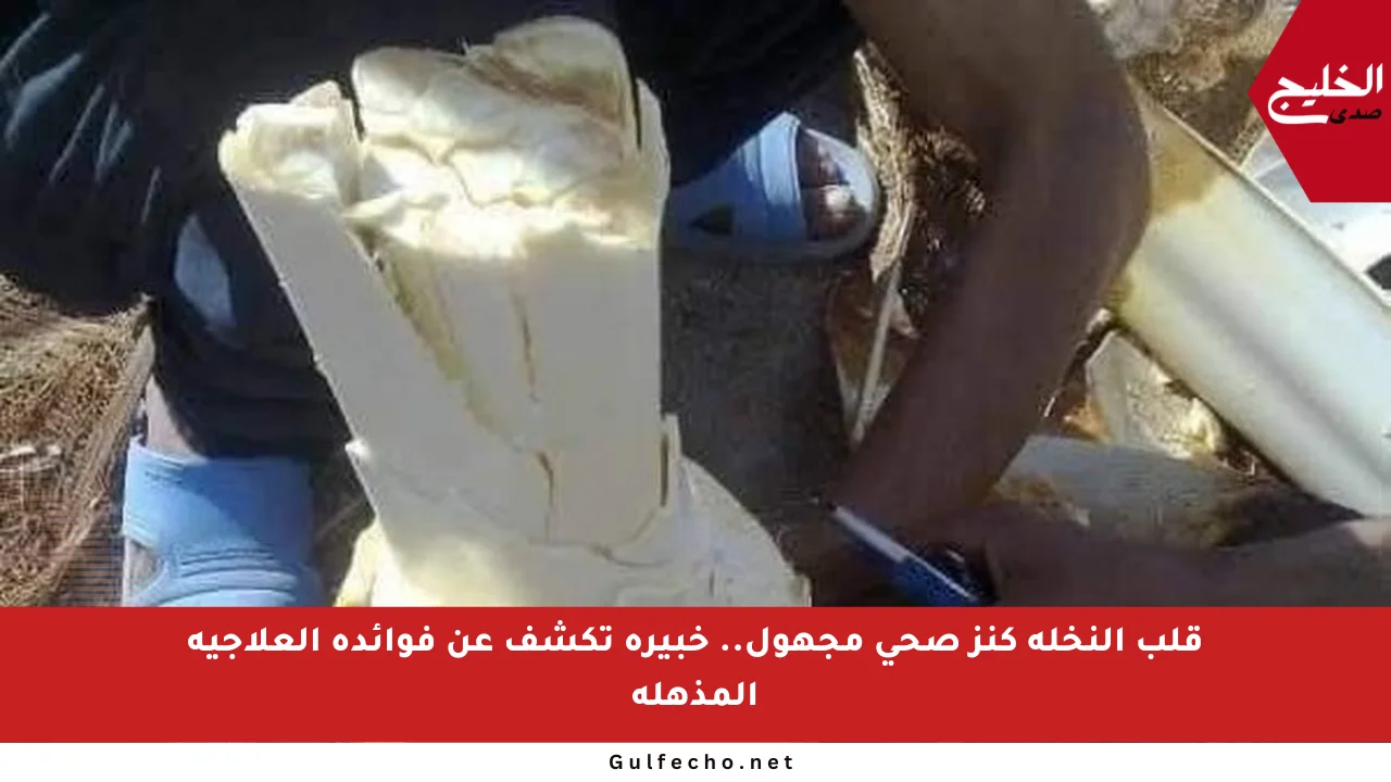 قلب النخلة كنز صحي مجهول.. خبيرة تكشف عن فوائده العلاجية المذهلة